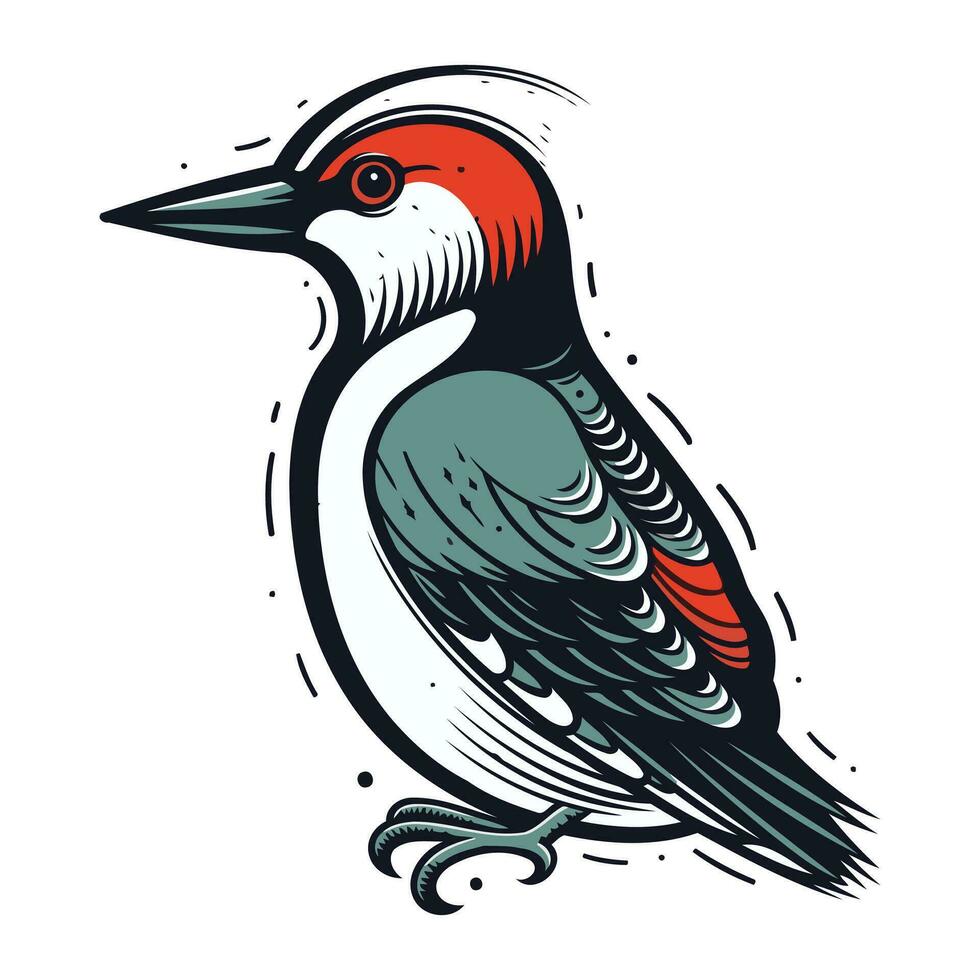 Woodpecker isolated on white background. Hand drawn vector illustration.