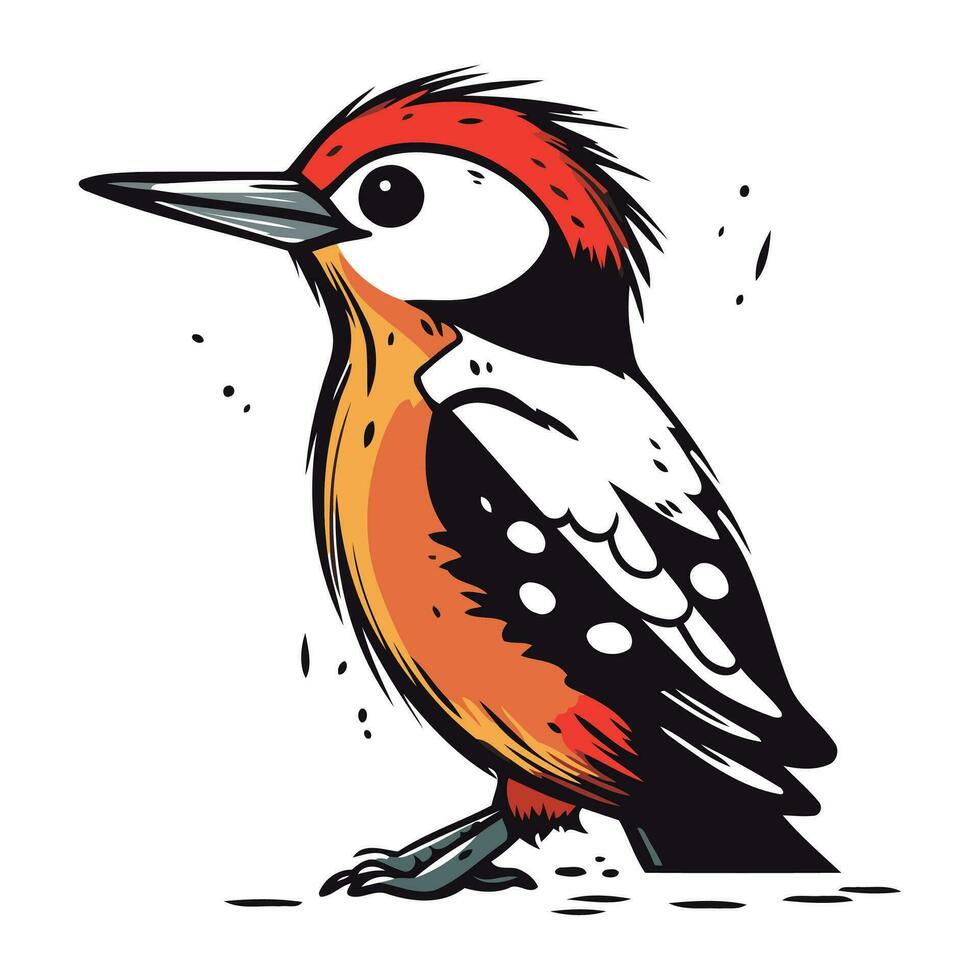 Woodpecker isolated on white background. Hand drawn vector illustration.