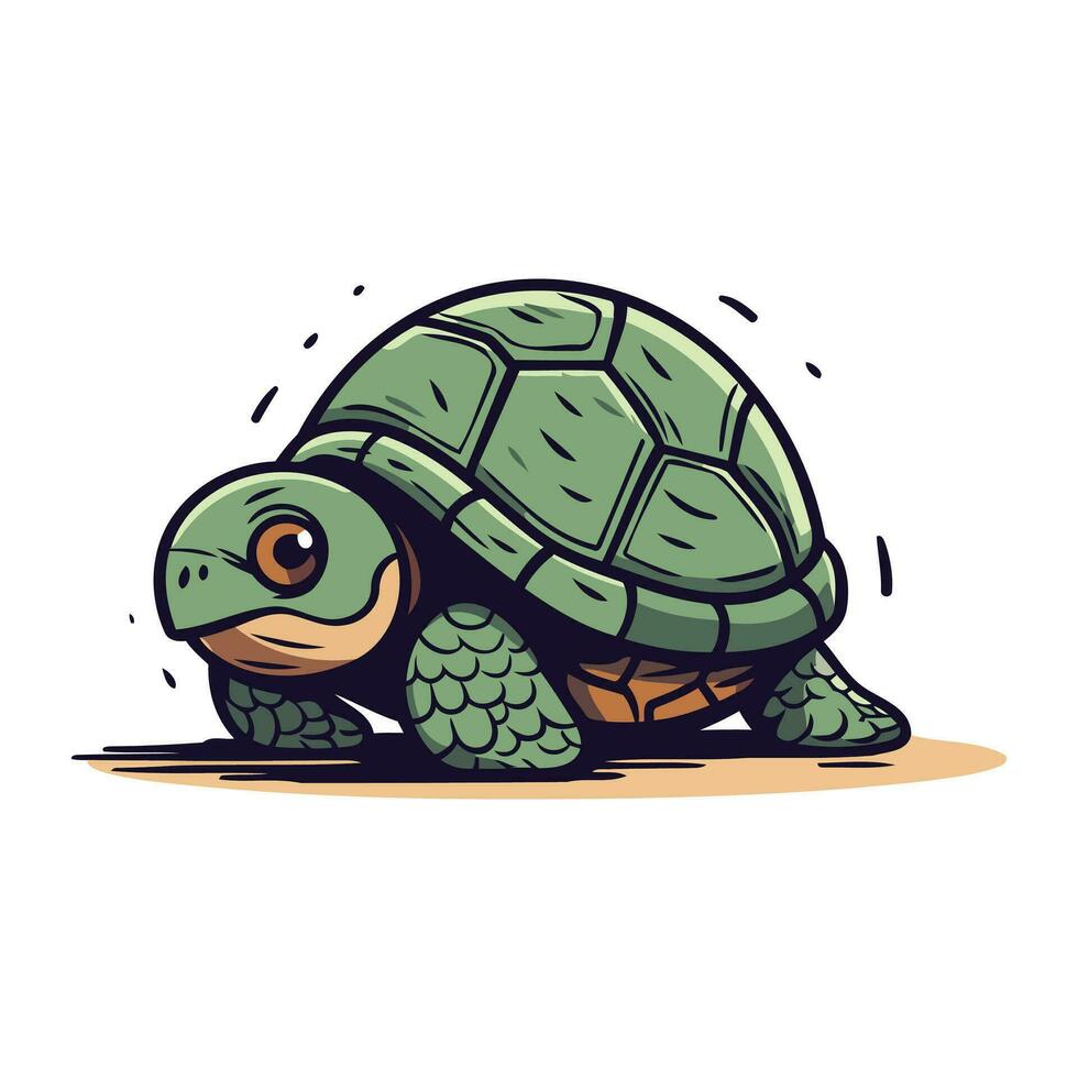 dibujos animados tortuga. vector ilustración de un tortuga en blanco antecedentes.