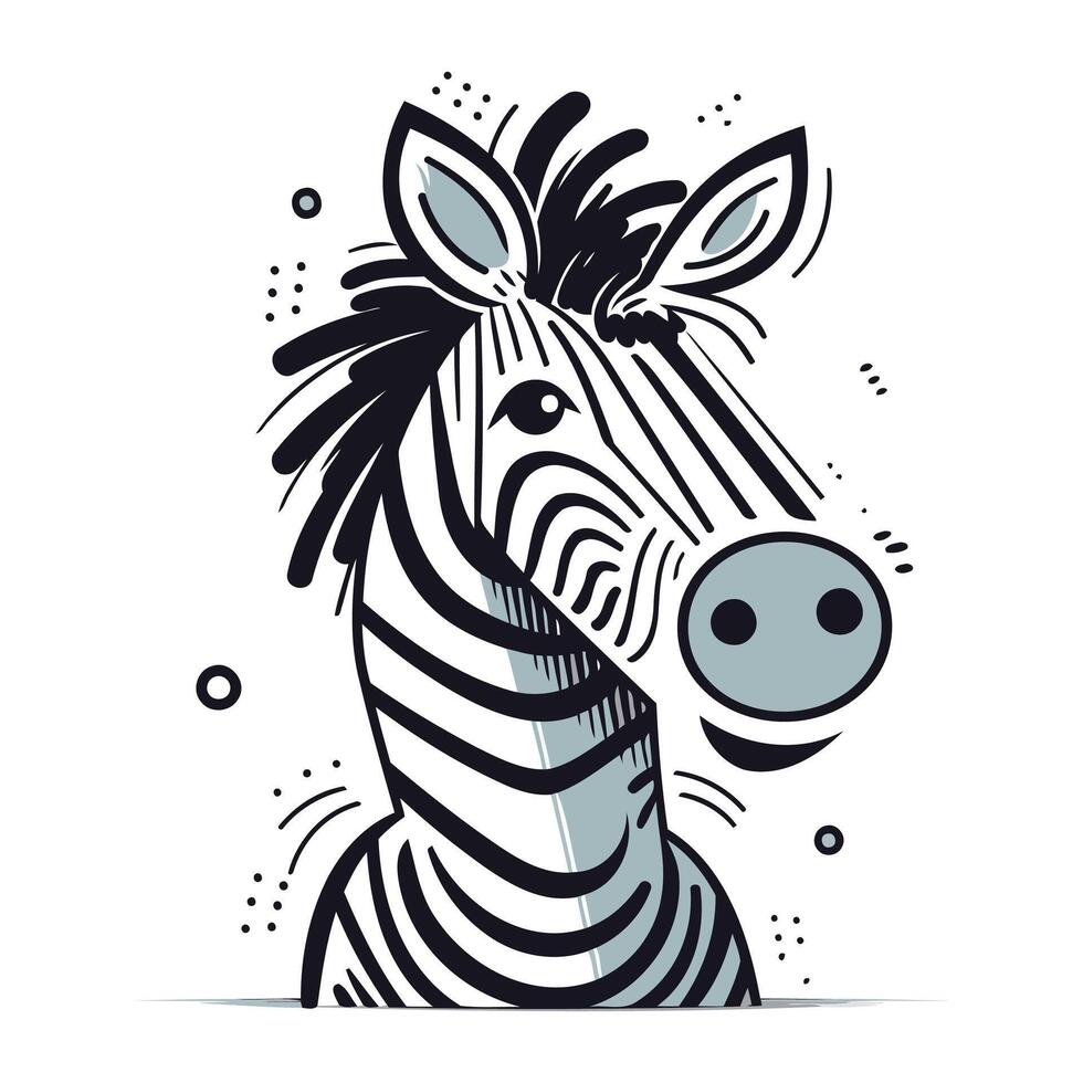 Zebra hand drawn vector illustration. Zebra head isolated on white