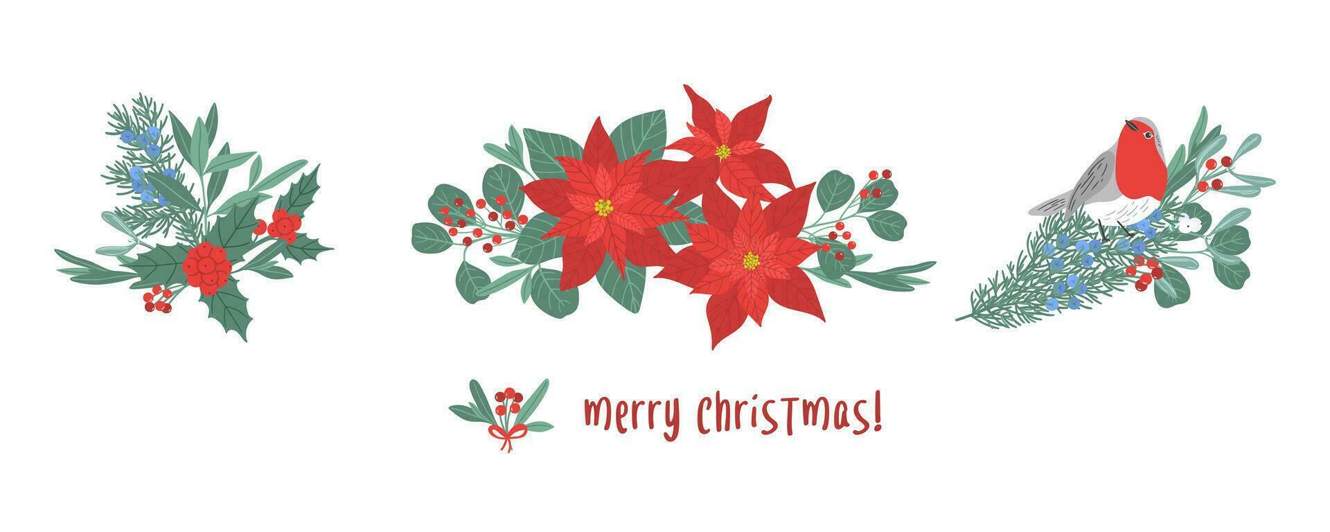 Set of Christmas floral compositions, winter bouquets vector