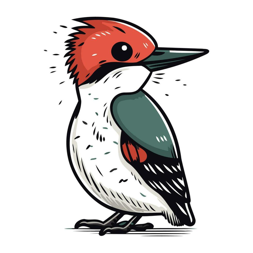 Woodpecker vector illustration. Hand drawn cartoon woodpecker.