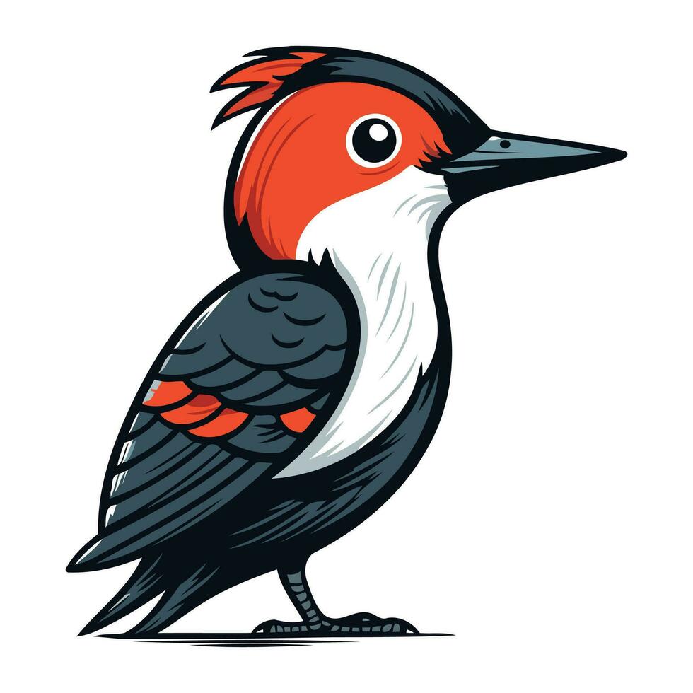 Red headed woodpecker. Vector illustration isolated on white background.