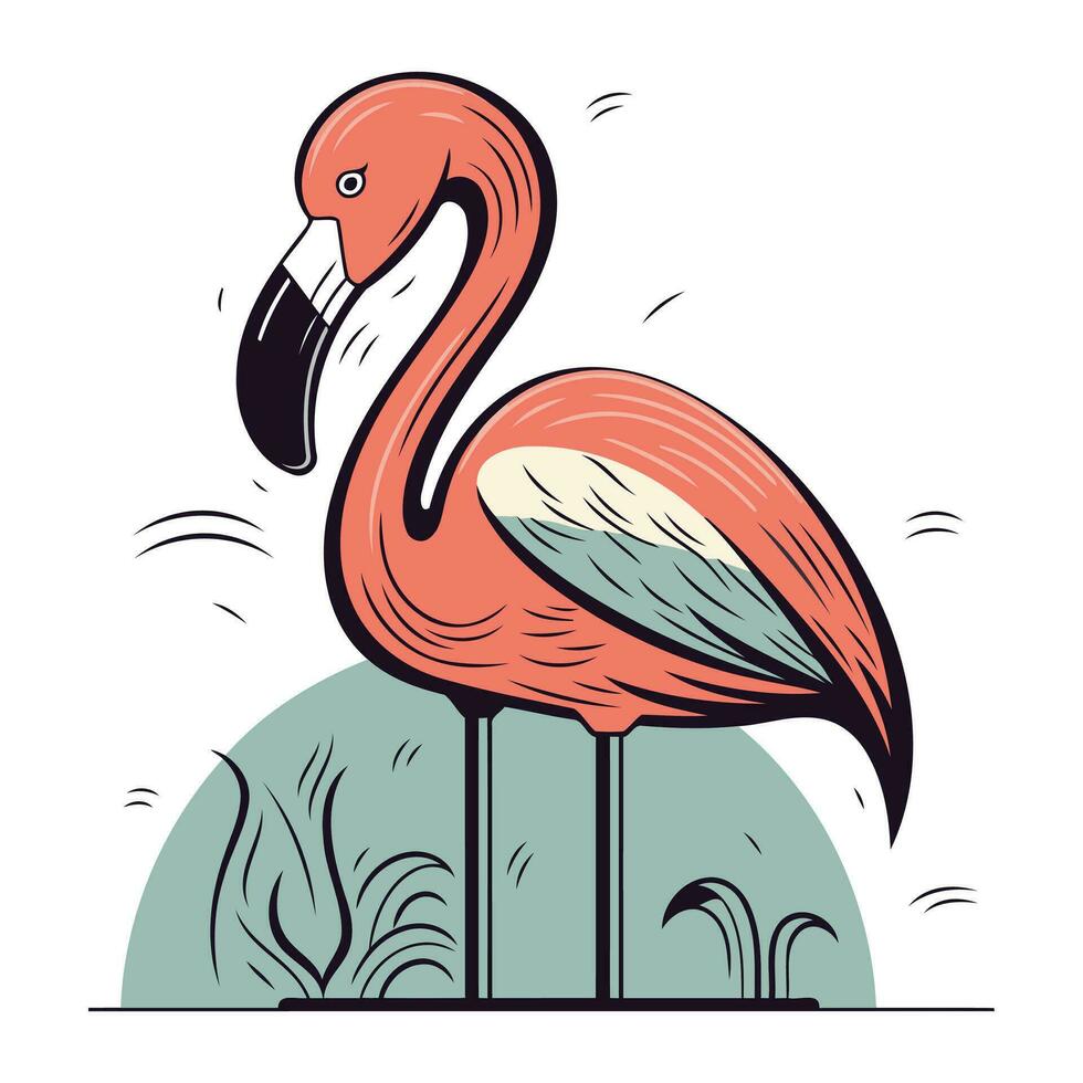 Flamingo. Vector illustration of a flamingo. Tropical bird.