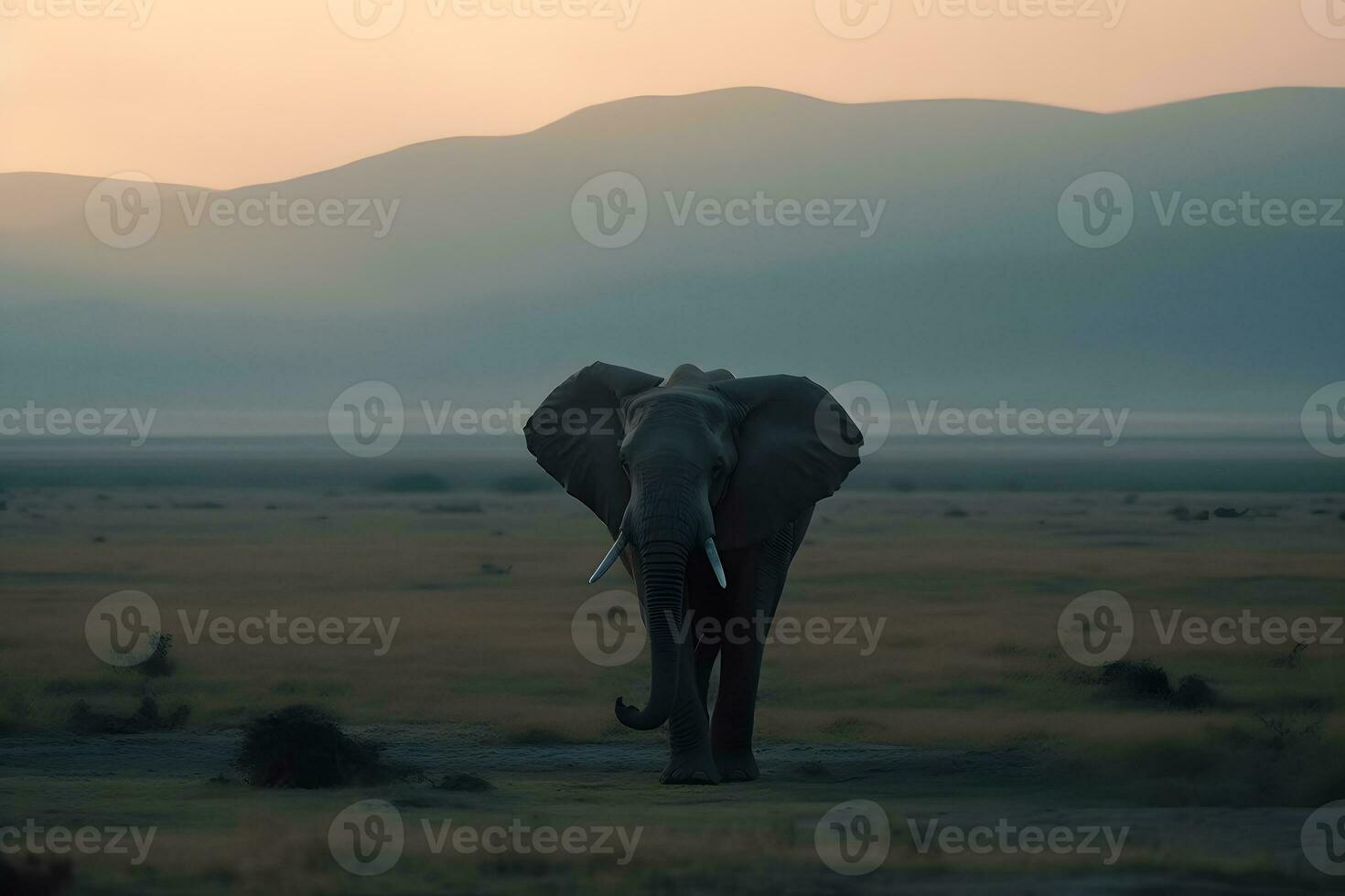 Elephant in the desert. Neural network AI generated photo