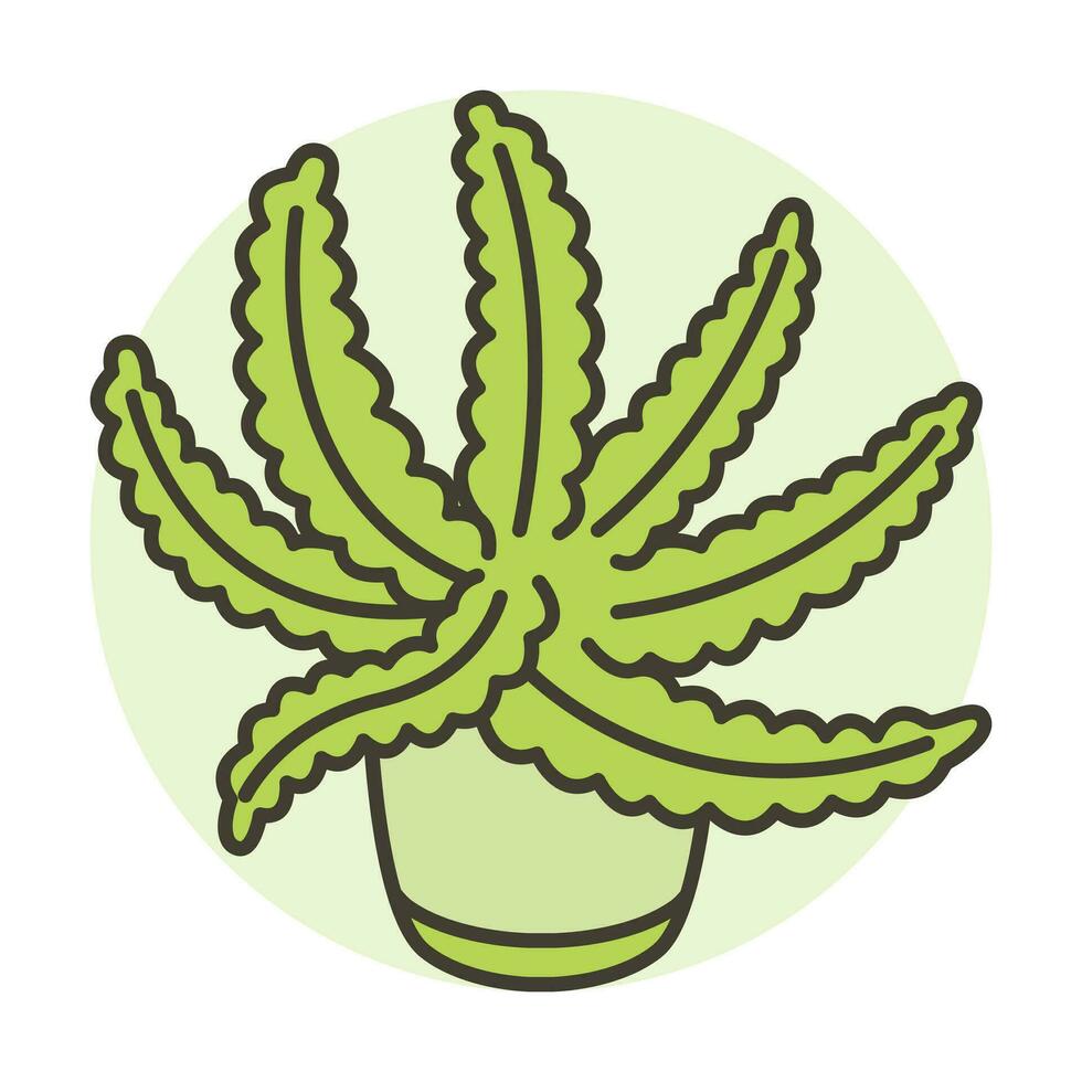 Leaf Plant in pot. Plants and Flowers Icon Vector Illustration