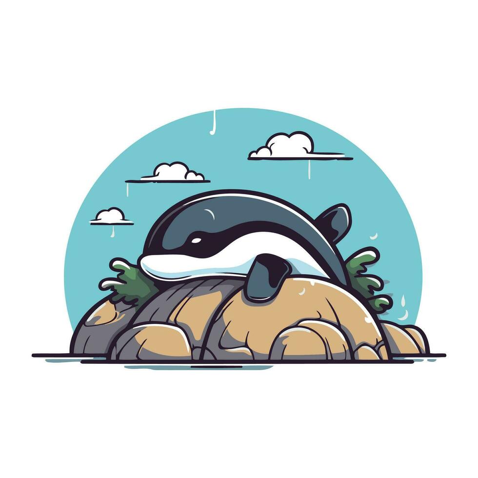 Cute cartoon killer whale on the rock. Vector illustration in flat style.