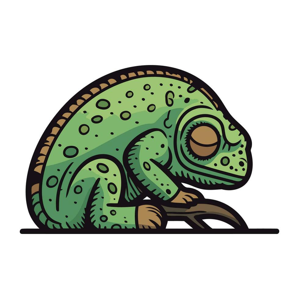 Chameleon icon. Cartoon illustration of chameleon vector icon for web