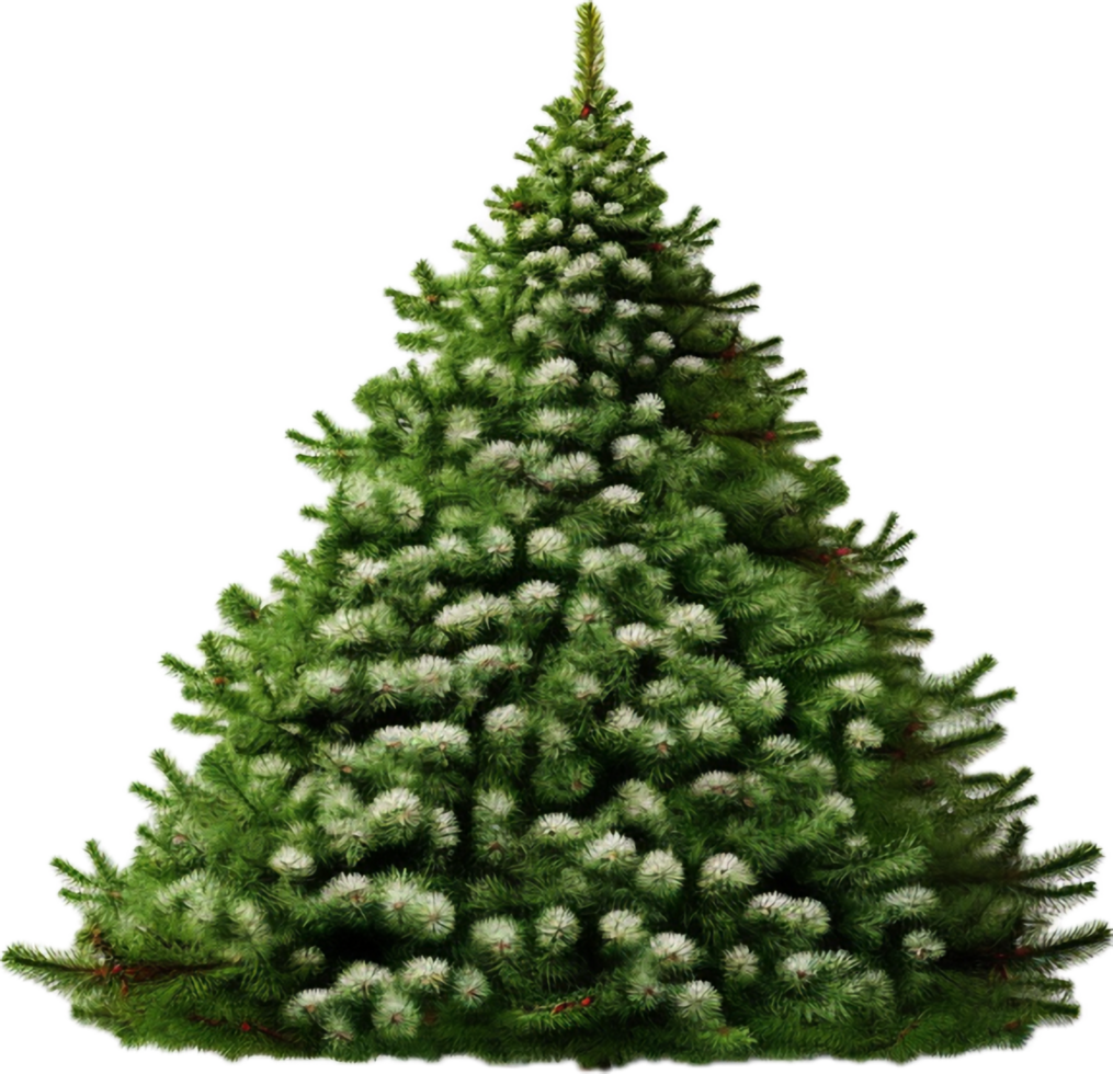 Christmas tree png with AI generated. 33646344 PNG
