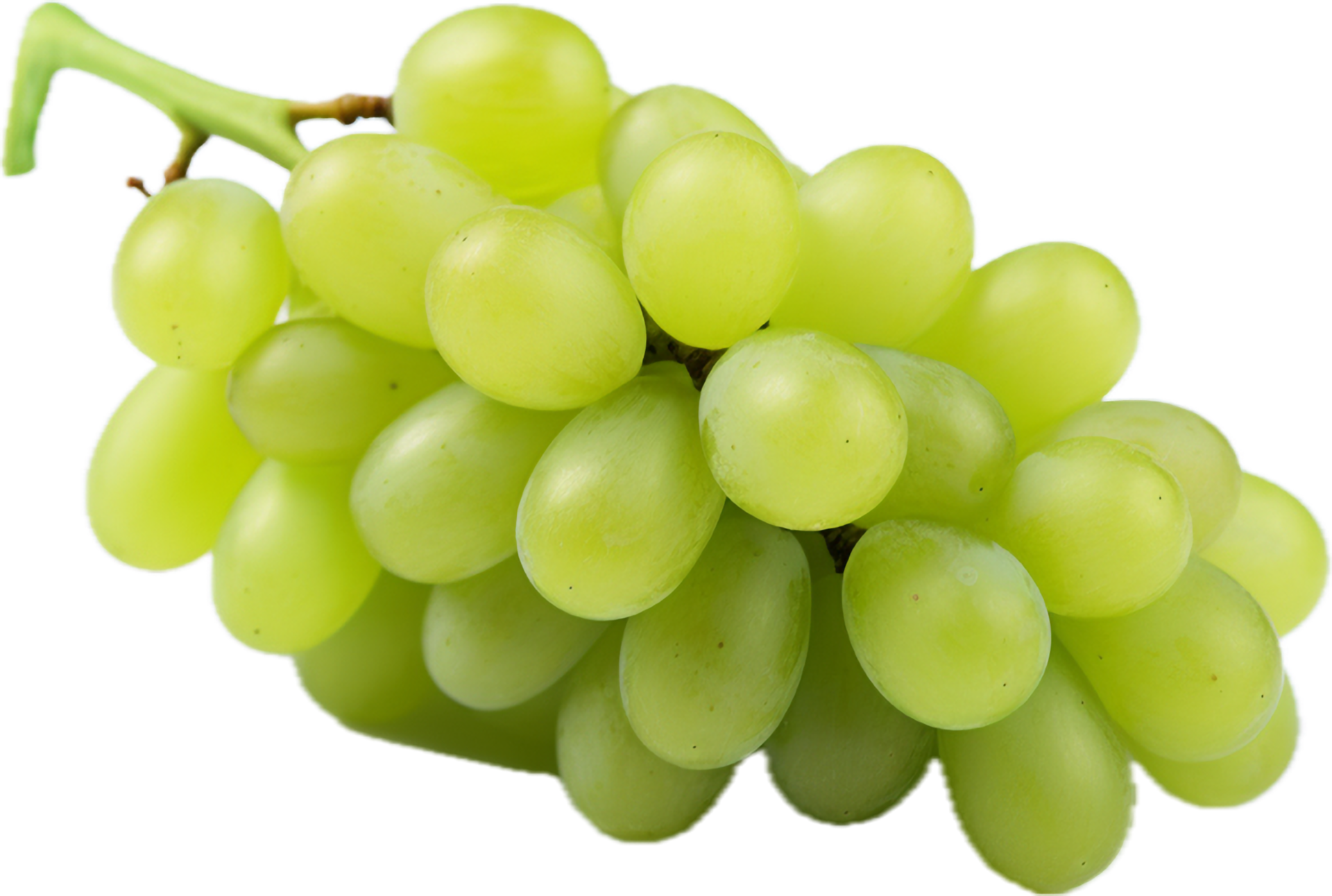 Green grape png with AI generated. 33646357 PNG