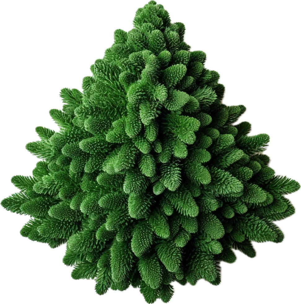 Christmas tree png with AI generated.