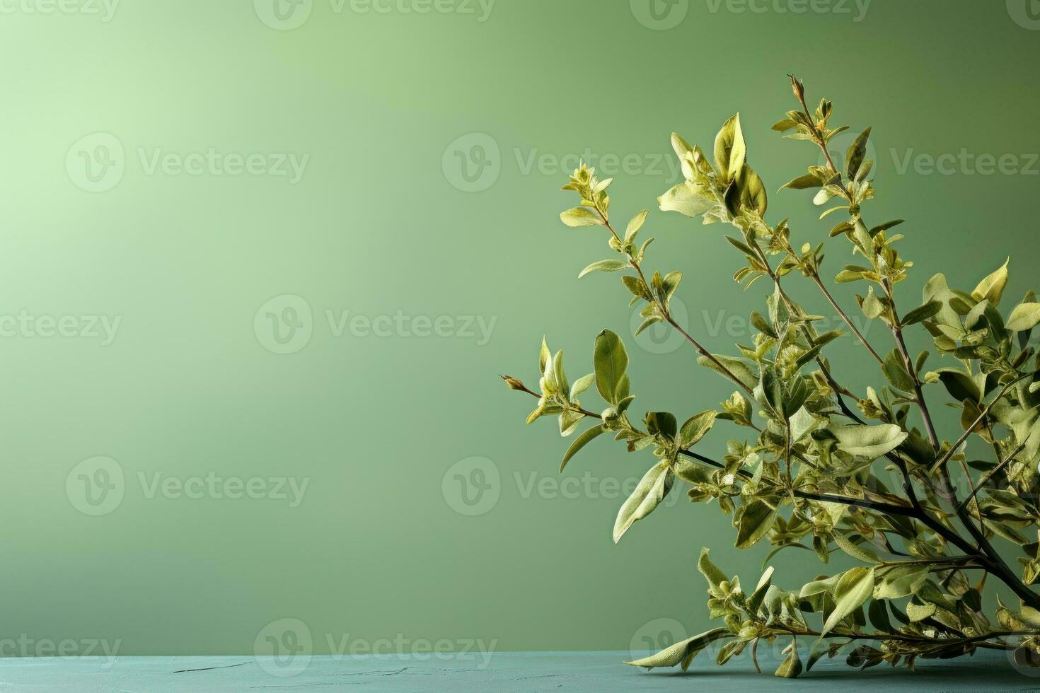 Dried Greenery on Green Background, Copy Space. Generative AI photo
