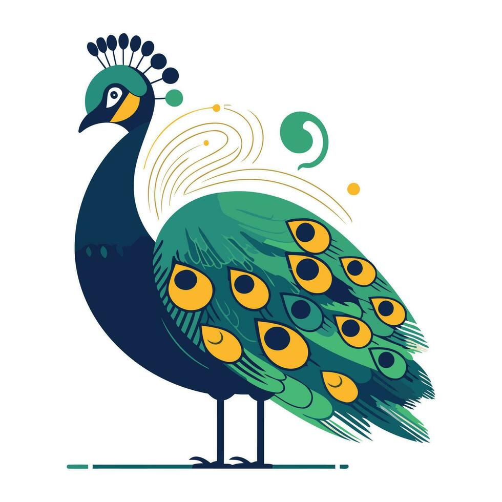 Peacock vector illustration. Isolated peacock on white background.