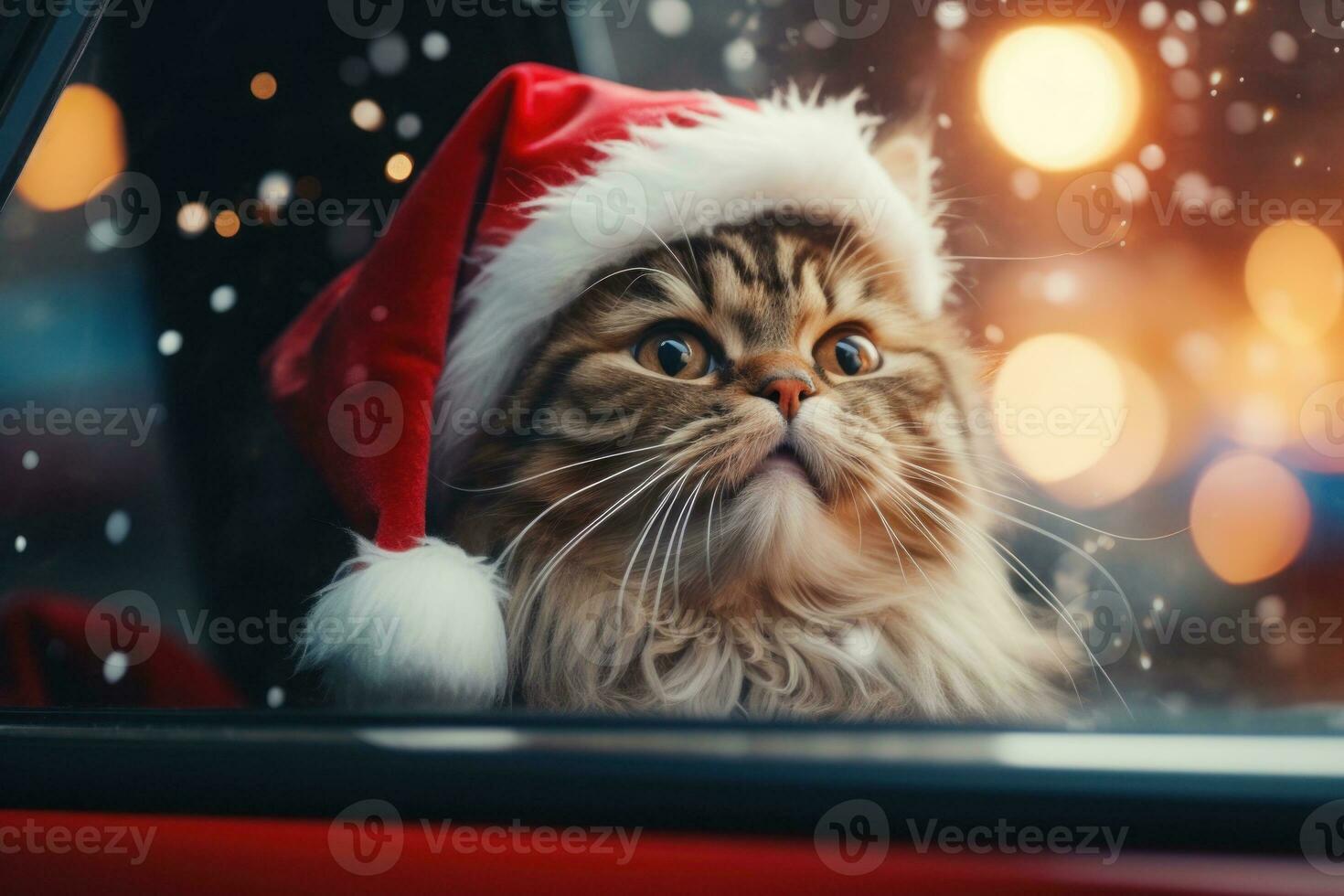 Cute cat in a Santa Claus costume Christmas blurred bokeh lights. Generative AI photo