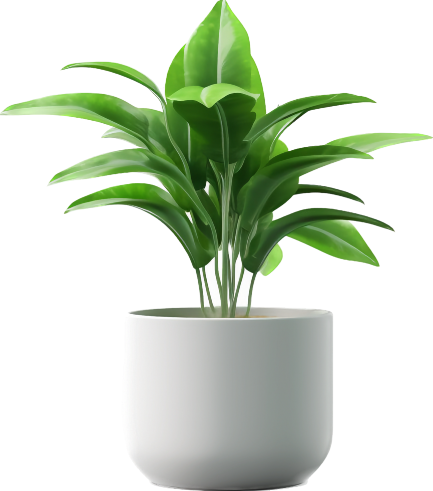 Potted plant png with AI generated.