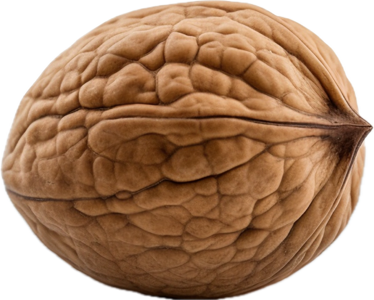 Walnut png with AI generated.