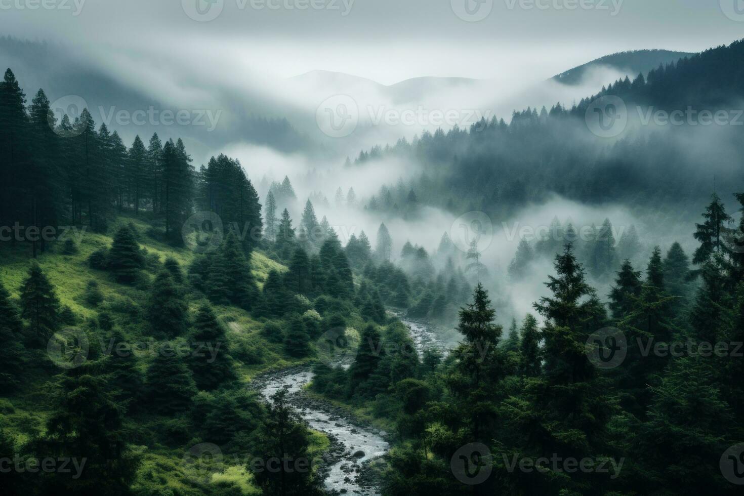 Top view of the pine forest in the rainy season. Generative AI photo