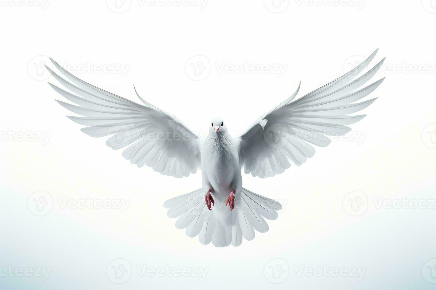 Dove isolated on white background freedom concept life. Generative AI photo