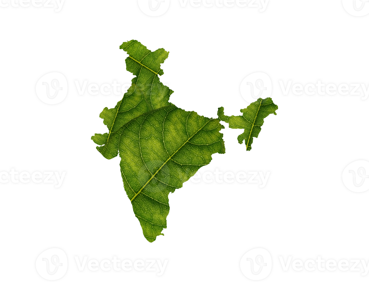 India mapa hecho de verde hojas ecología concepto png