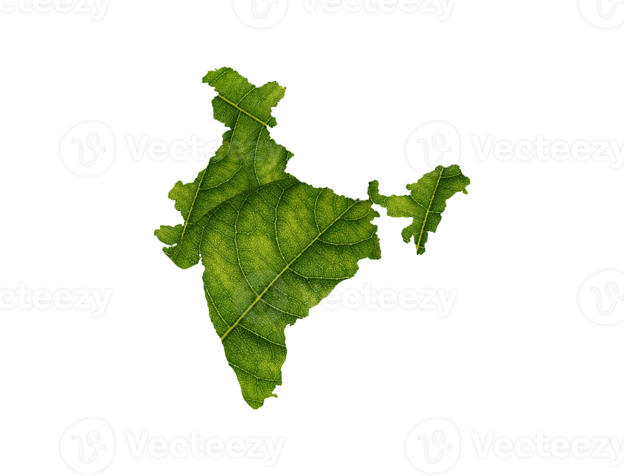 India map made of green leaves ecology concept png
