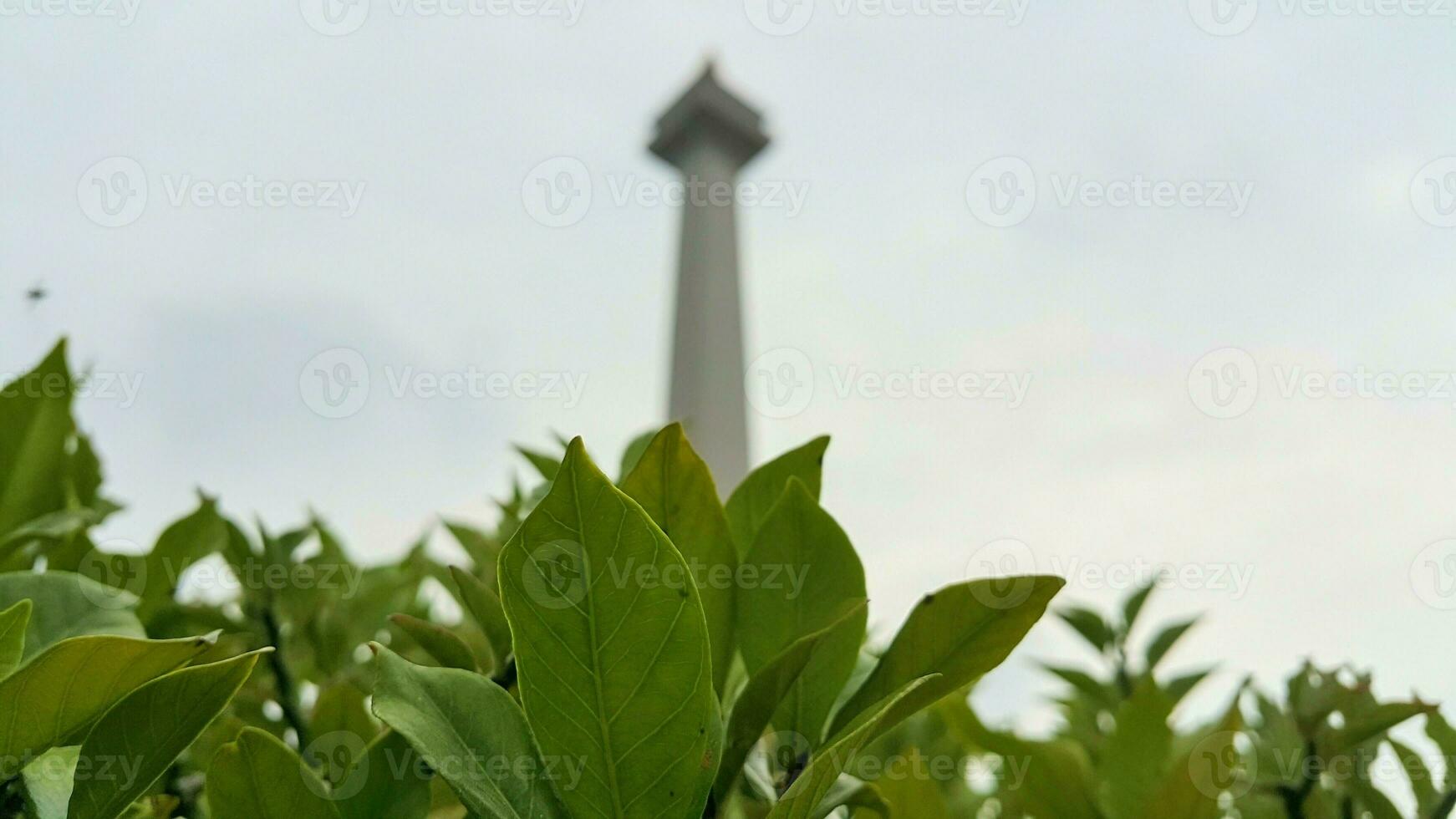 Close up view of green leaves with the National Monument or Monas Jakarta in blurred background photo