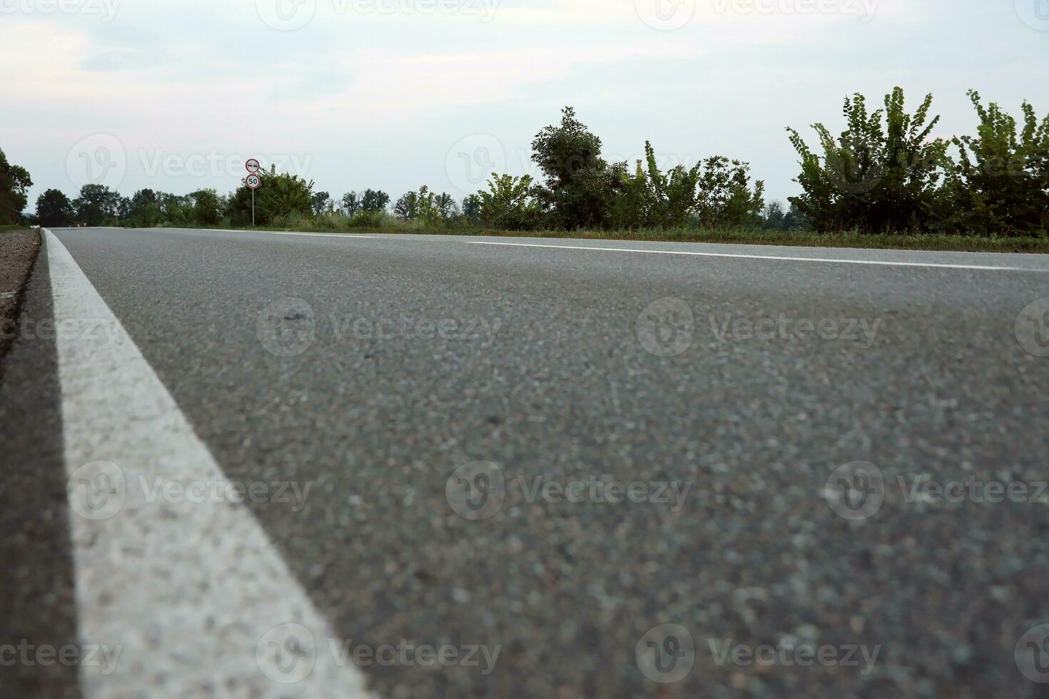 Empty asphalt road and floral field of different grass and flowers in evening time photo