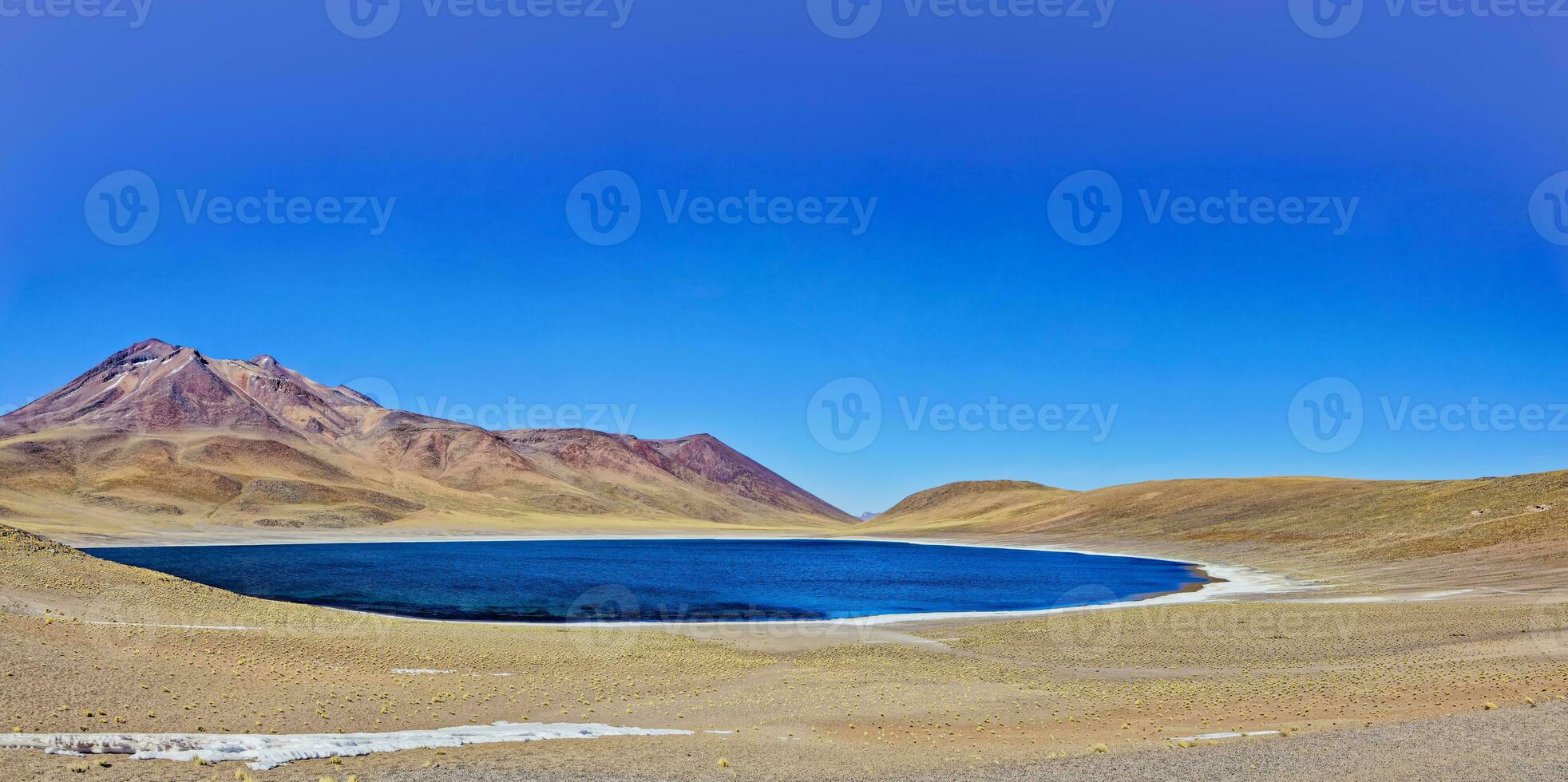 Miniques Altiplanic Lagoon in the Atacama Desert - San Pedro de Atacama. photo