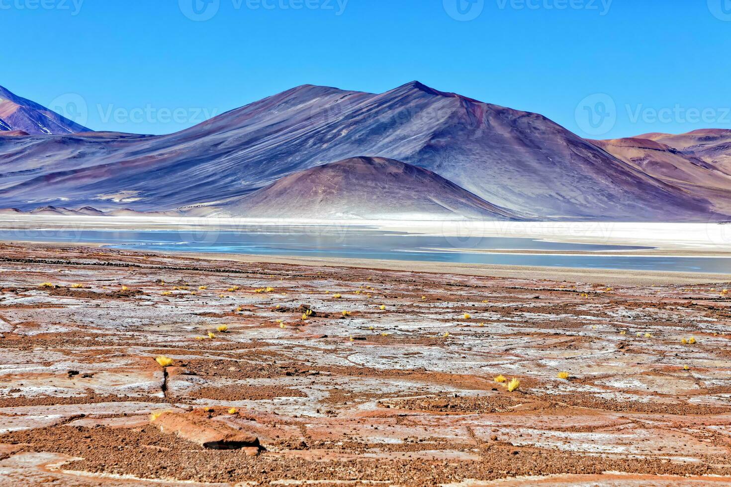 Piedras Rojas - Atacama Desert - San Pedro de Atacama. photo