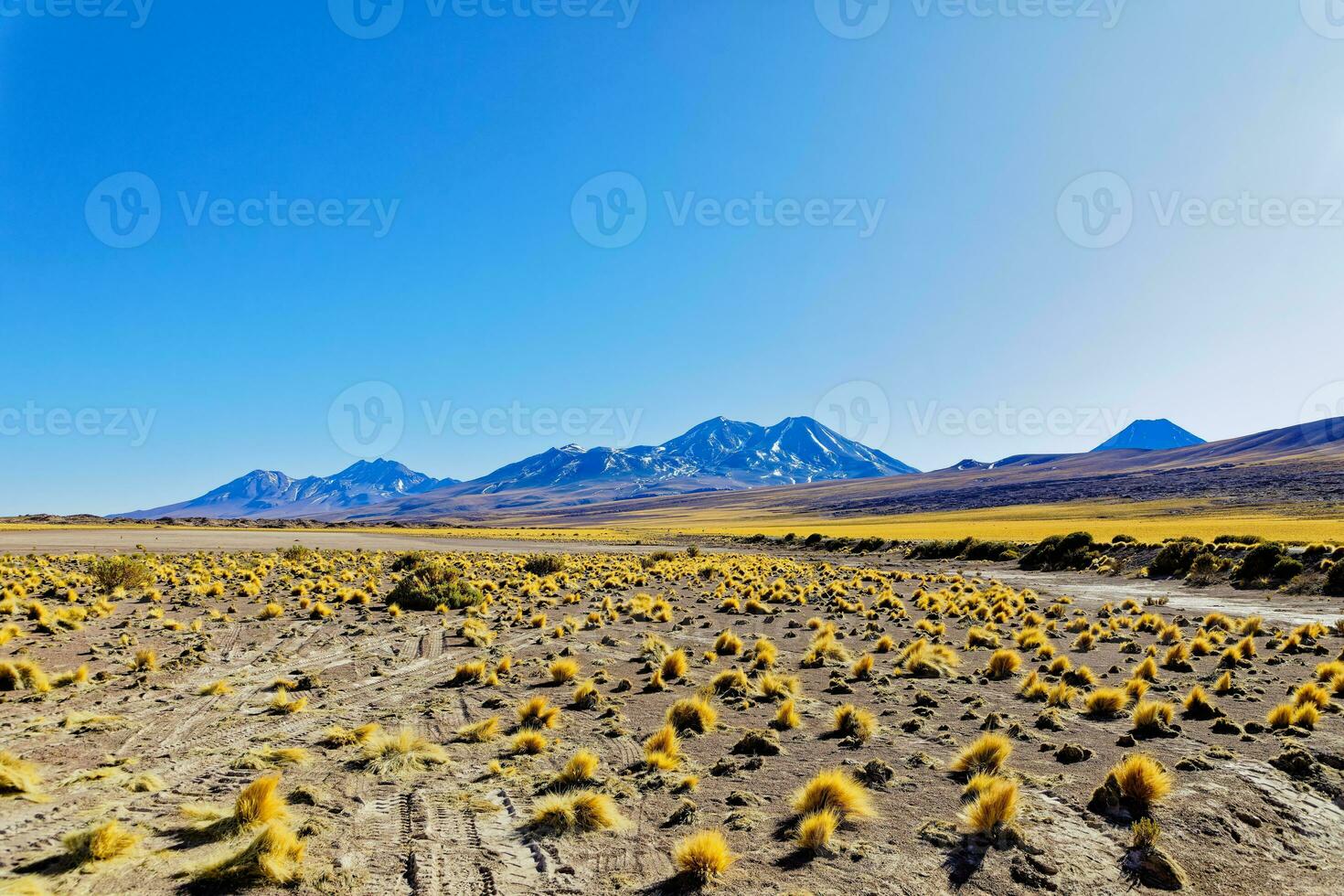 Landscapes on the way to the Altiplanic Lagoons in the Atacama Desert - San Pedro de Atacama - Chile photo