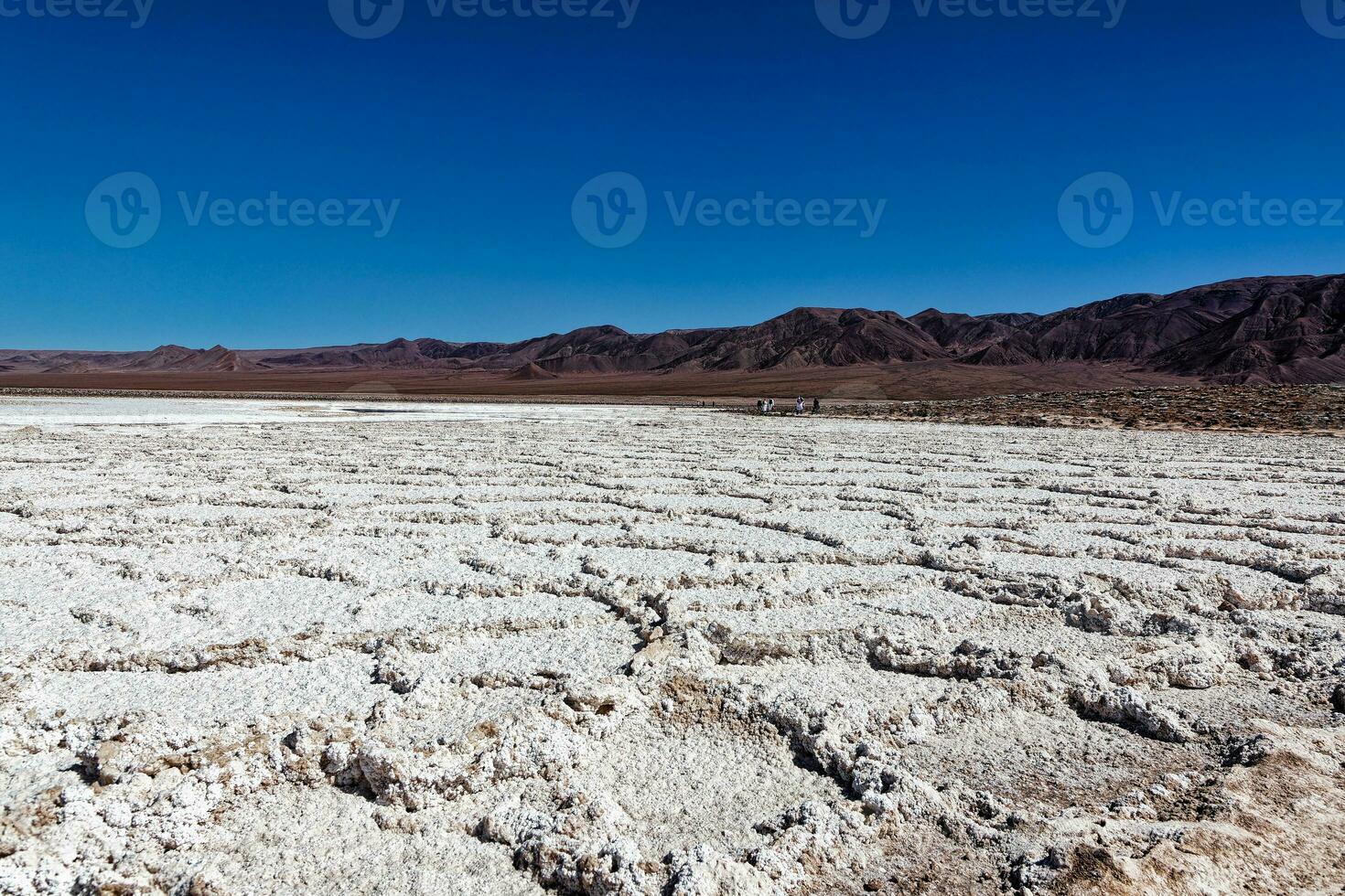 Landscape of the Hidden Baltinache Lagoons - Atacama Desert - Chile. photo