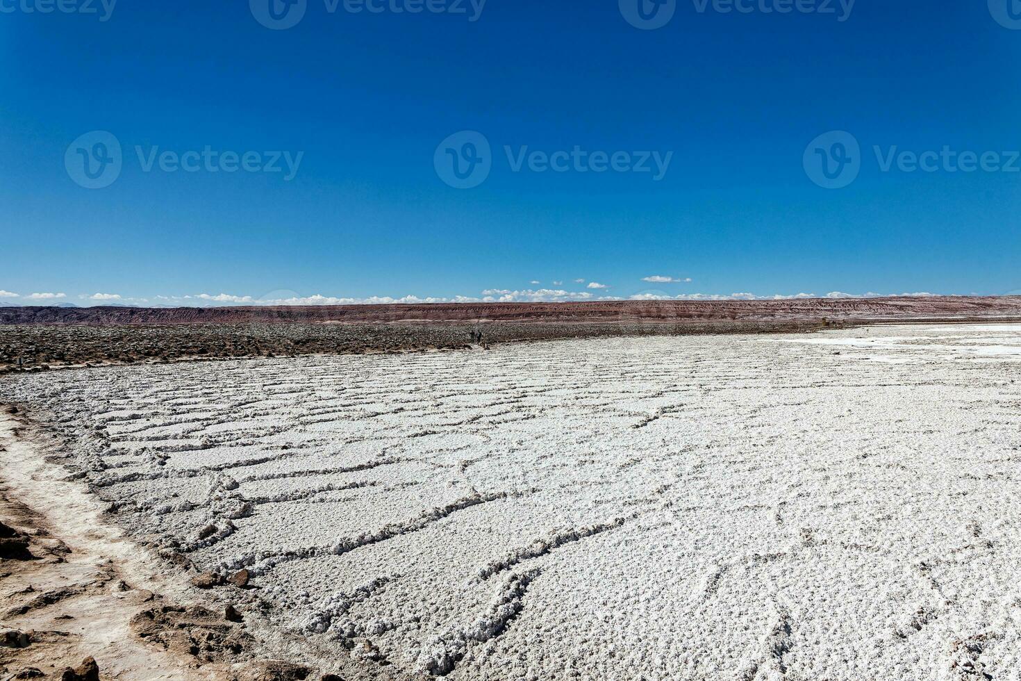 Landscape of the Hidden Baltinache Lagoons - Atacama Desert - Chile. photo