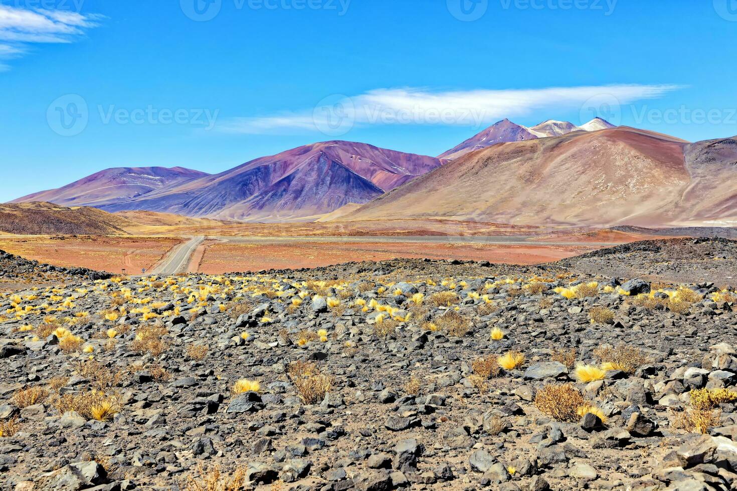 Salar de Aguas Calientes Viewpoint - Atacama Desert - San Pedro de Atacama. photo