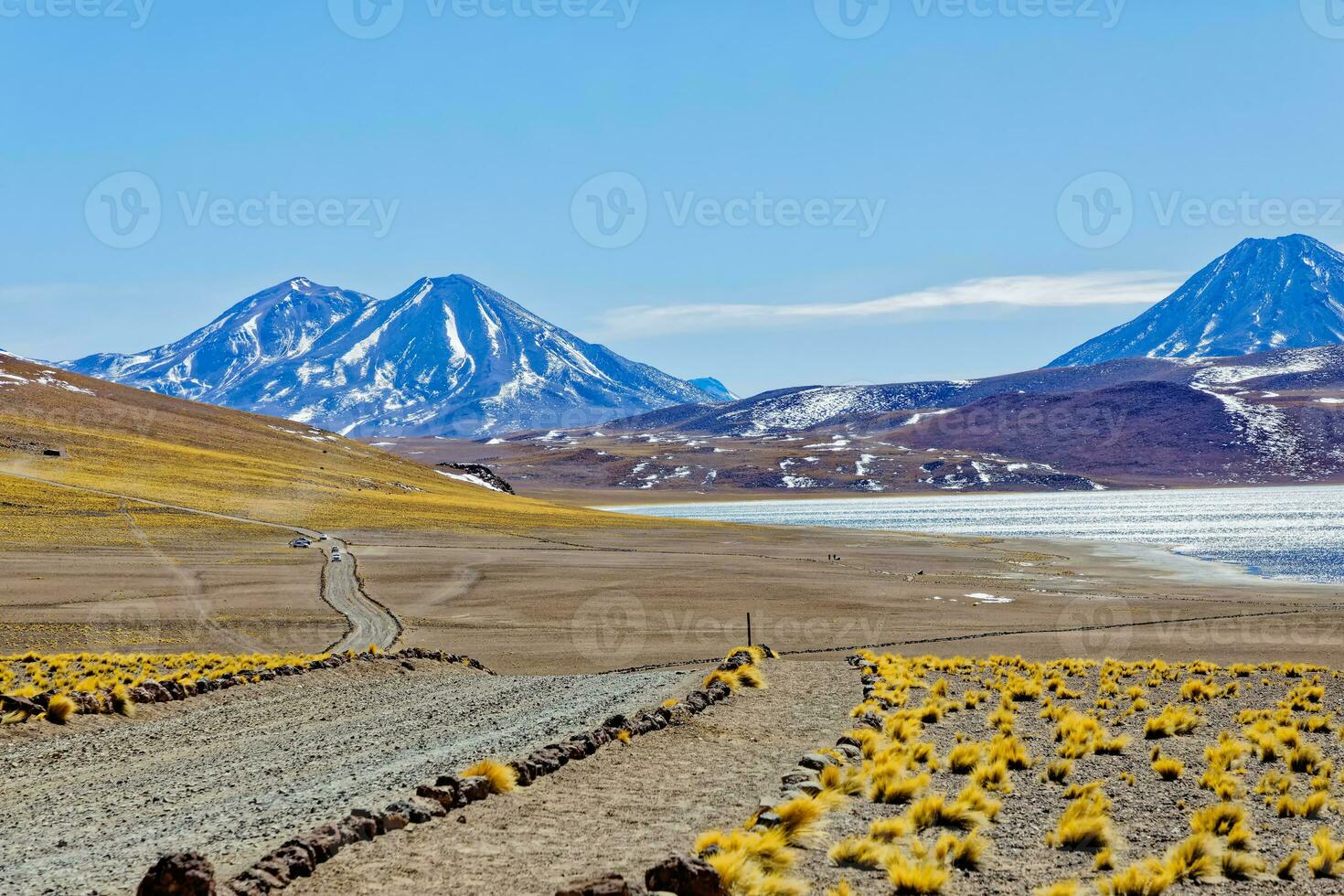 Miscanti Altiplanic Lagoon in the Atacama Desert - San Pedro de Atacama. photo