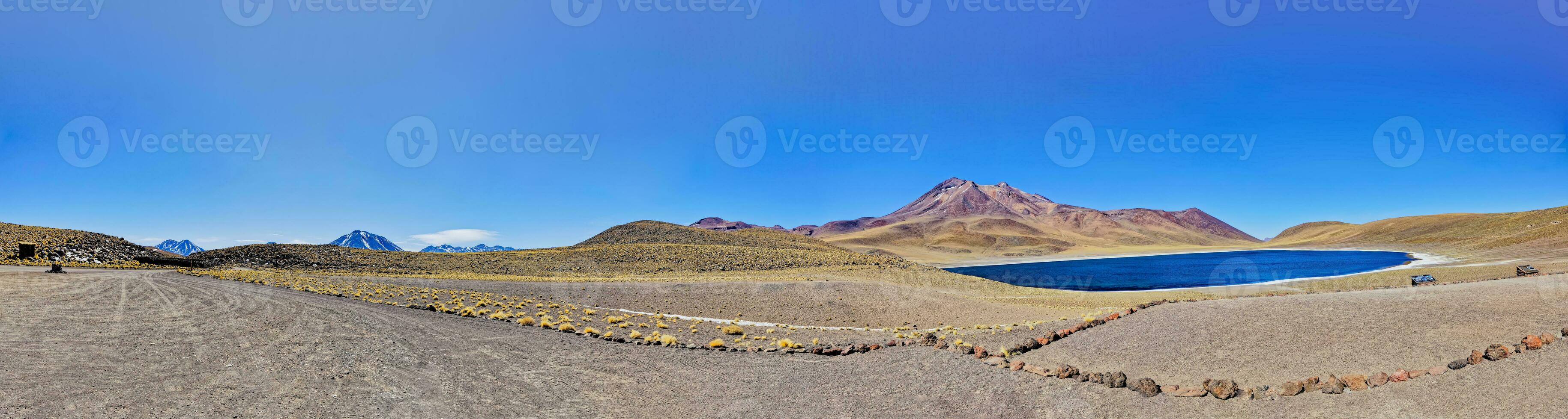 miniques altiplánico laguna en el atacama Desierto - san pedro Delaware atacama. foto