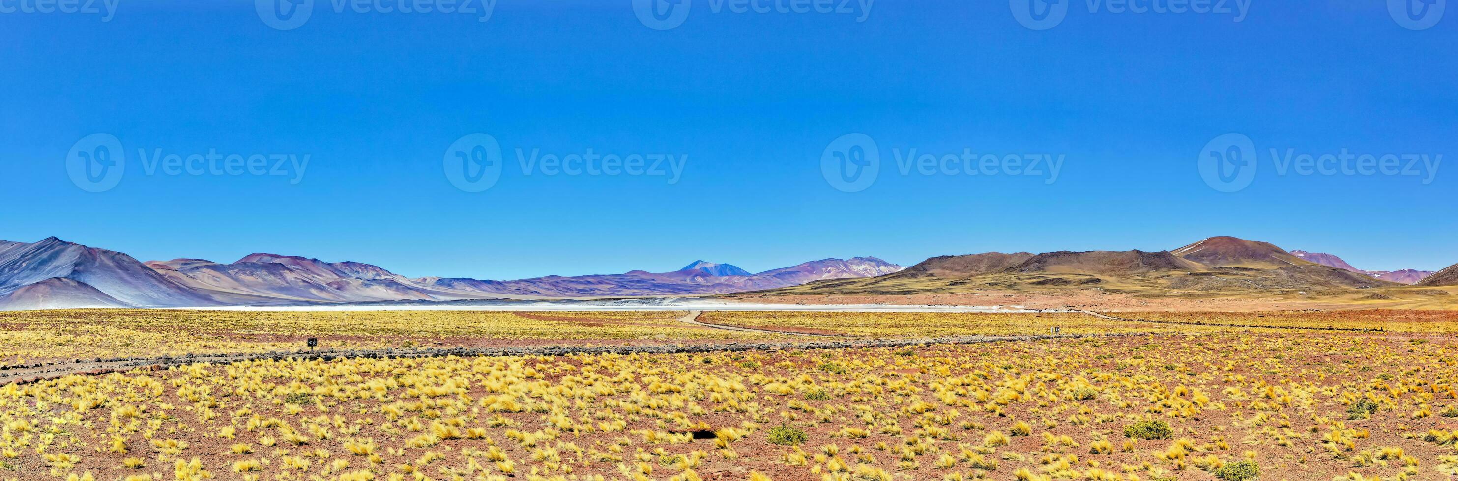 Piedras Rojas - Atacama Desert - San Pedro de Atacama. photo