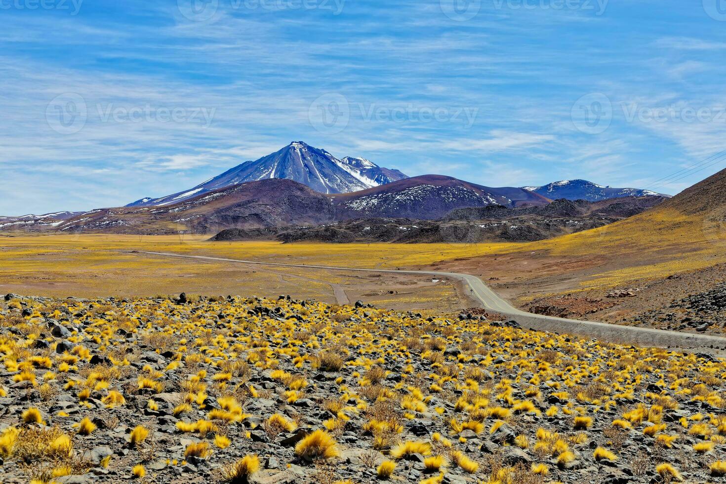 Landscapes on the way to the Altiplanic Lagoons in the Atacama Desert - San Pedro de Atacama - Chile photo