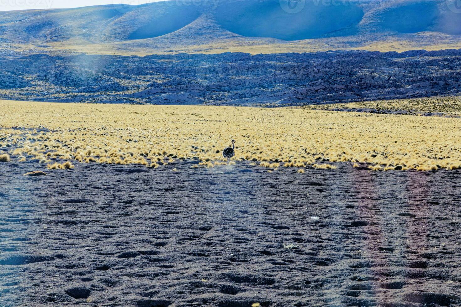 Landscapes on the way to the Altiplanic Lagoons in the Atacama Desert - San Pedro de Atacama - Chile photo