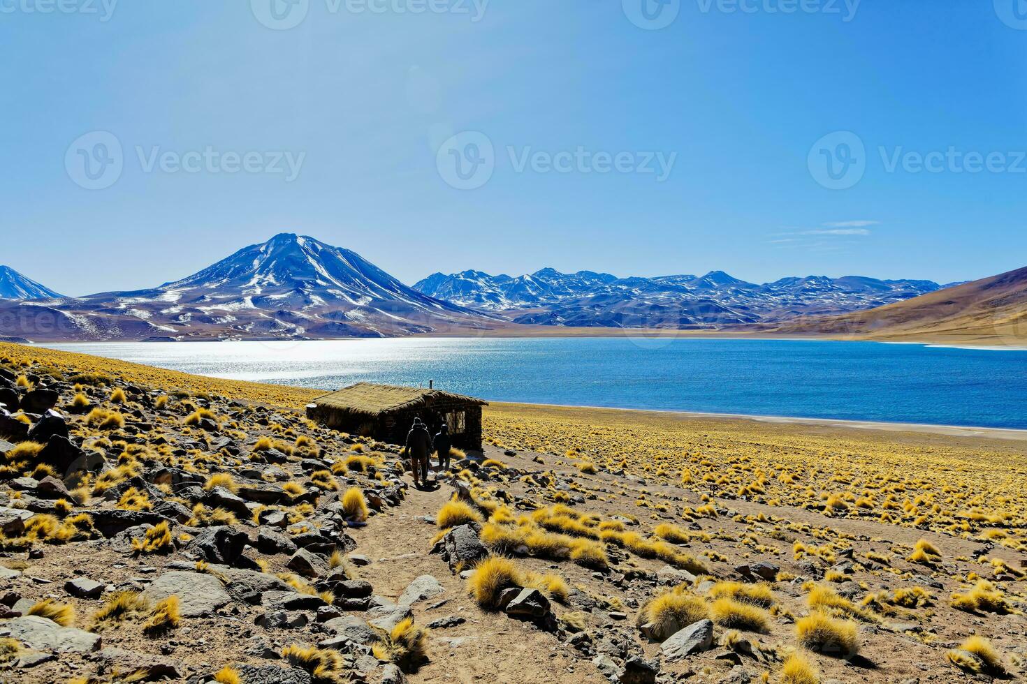 Miscanti Altiplanic Lagoon in the Atacama Desert - San Pedro de Atacama. photo