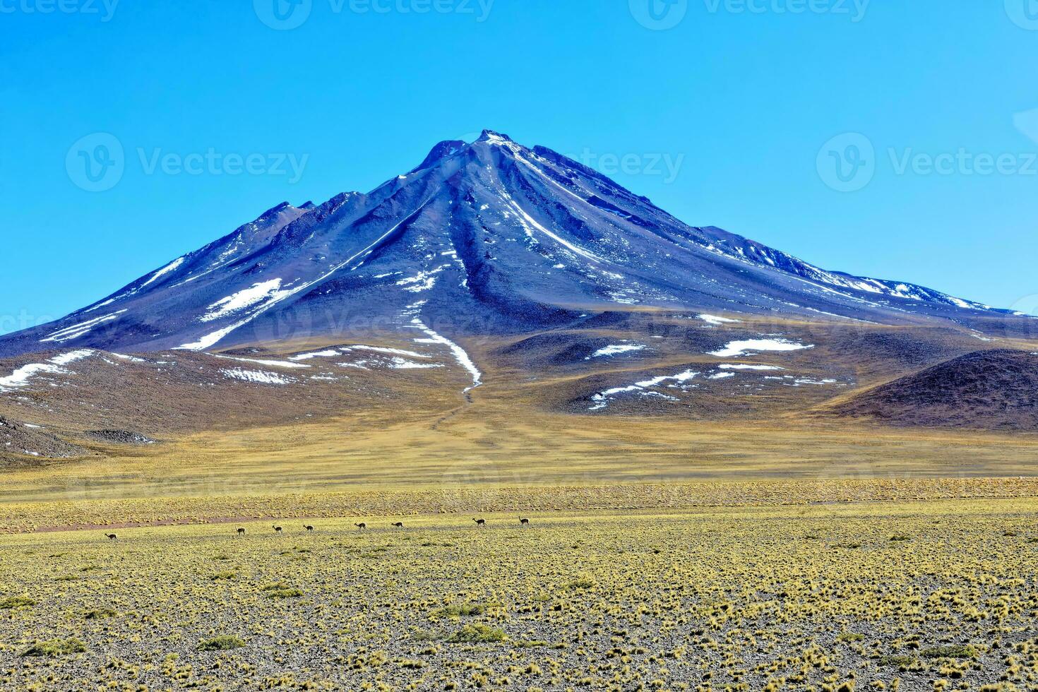 Landscapes on the way to the Altiplanic Lagoons in the Atacama Desert - San Pedro de Atacama - Chile photo