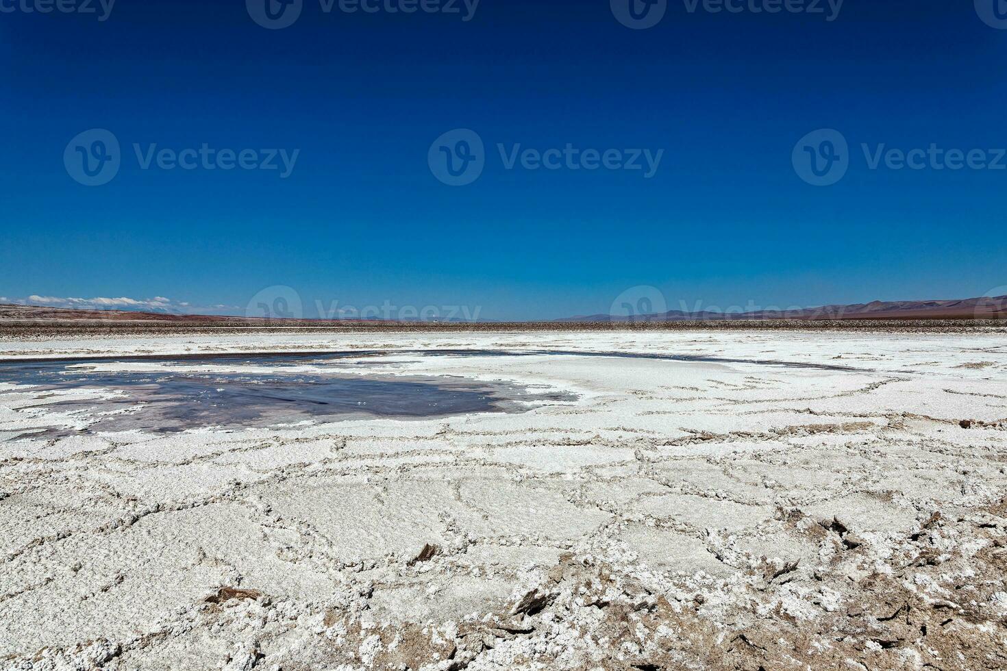 Landscape of the Hidden Baltinache Lagoons - Atacama Desert - Chile. photo