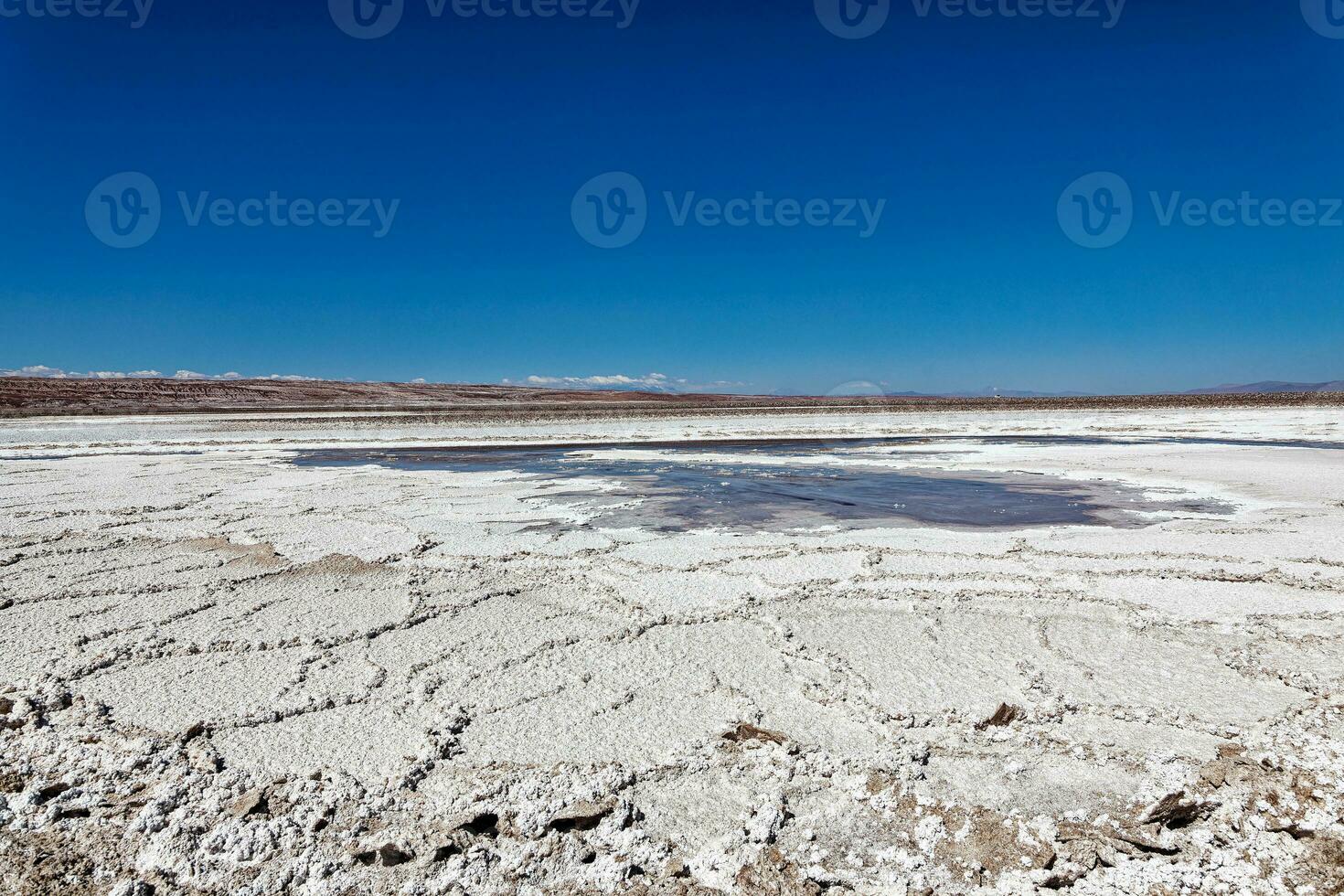 Landscape of the Hidden Baltinache Lagoons - Atacama Desert - Chile. photo