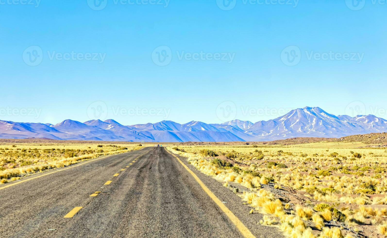 Landscapes on the way to the Altiplanic Lagoons in the Atacama Desert - San Pedro de Atacama - Chile photo