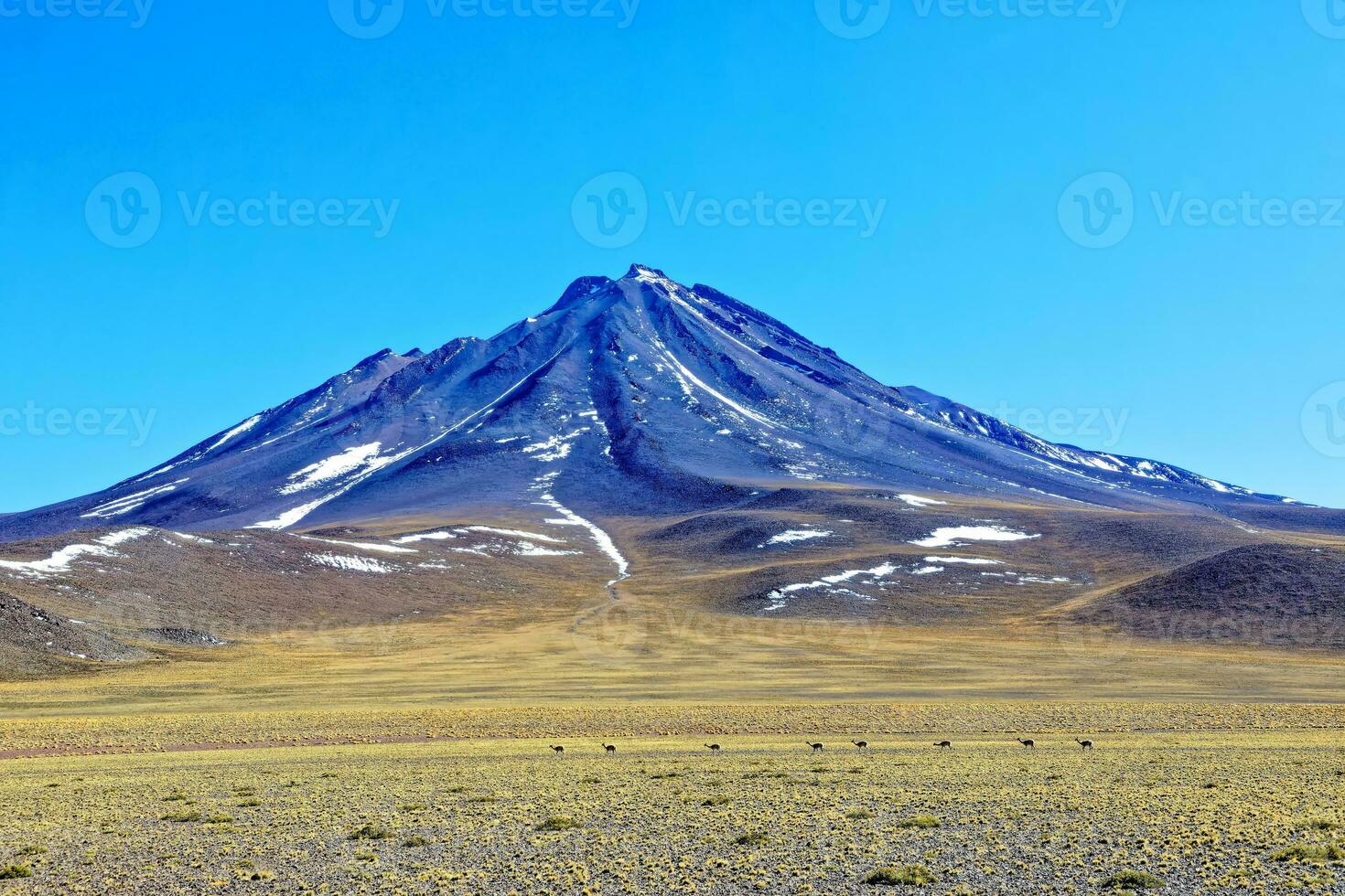 Landscapes on the way to the Altiplanic Lagoons in the Atacama Desert - San Pedro de Atacama - Chile photo