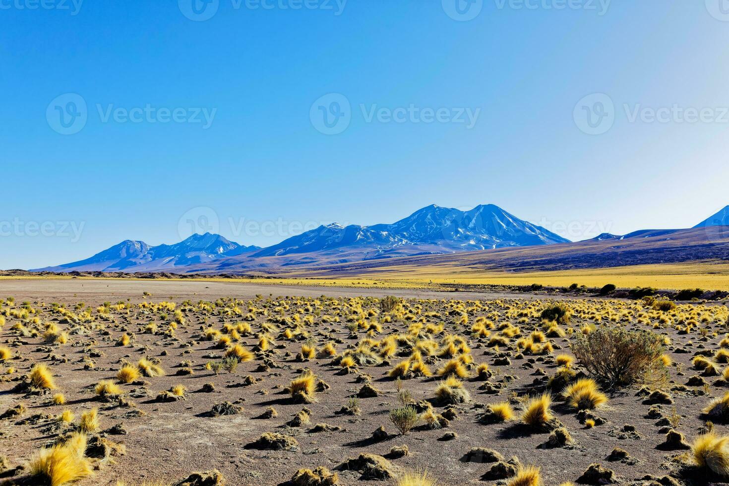 paisajes en el camino a el altiplánico lagunas en el atacama Desierto - san pedro Delaware atacama - Chile foto