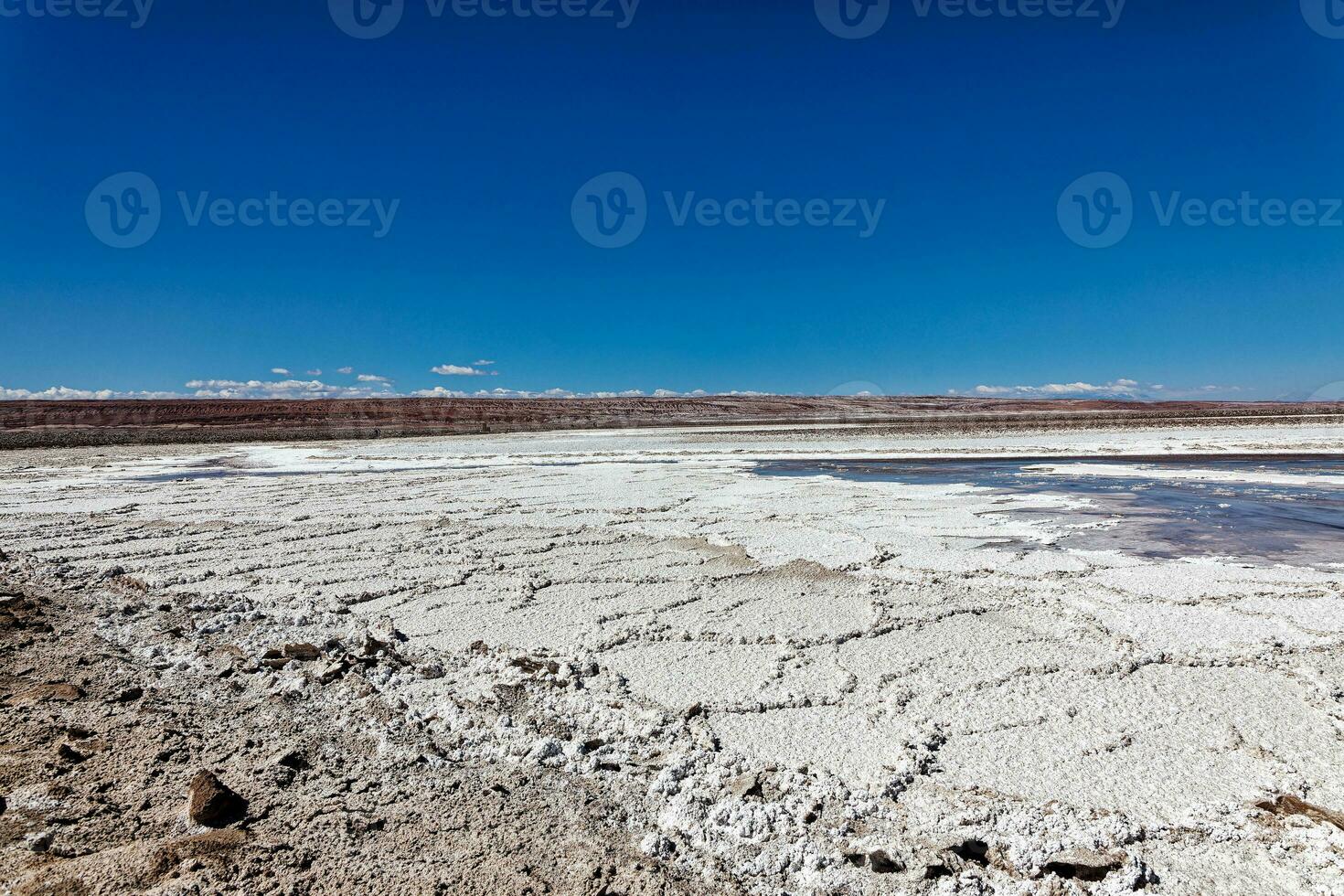 Landscape of the Hidden Baltinache Lagoons - Atacama Desert - Chile. photo