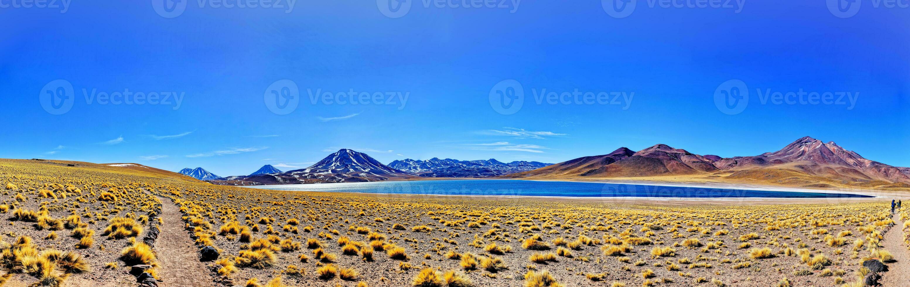 Miscanti Altiplanic Lagoon in the Atacama Desert - San Pedro de Atacama. photo