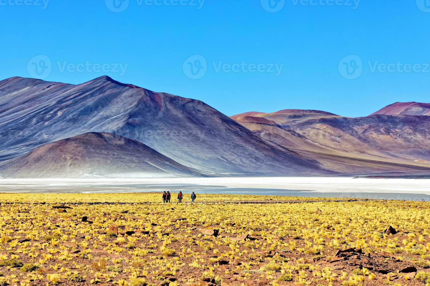 Piedras Rojas - Atacama Desert - San Pedro de Atacama. photo