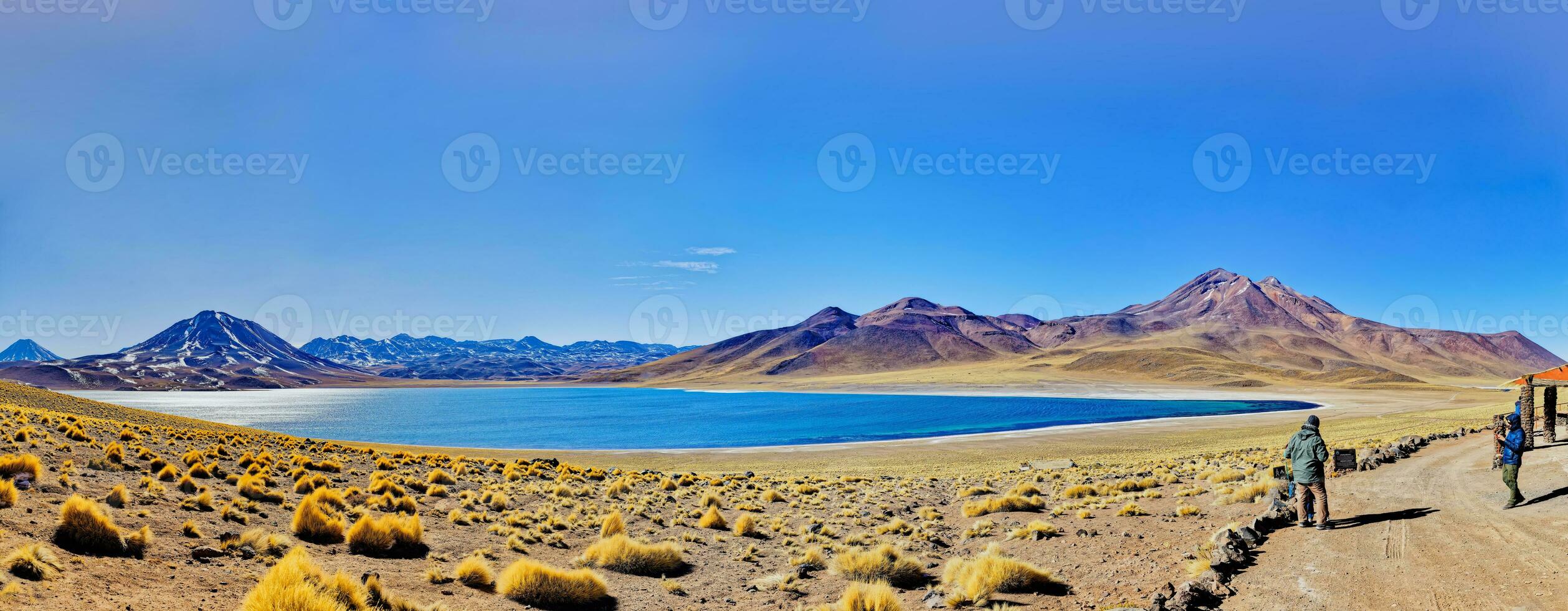 miscanti altiplánico laguna en el atacama Desierto - san pedro Delaware atacama. foto