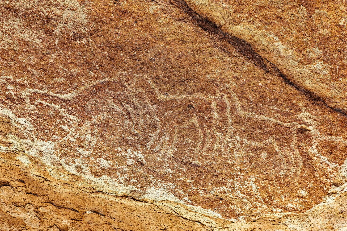 Yerbas Buenas Archaeological Site - Chile. Cave Paintings - Atacama Desert. San Pedro de Atacama. photo