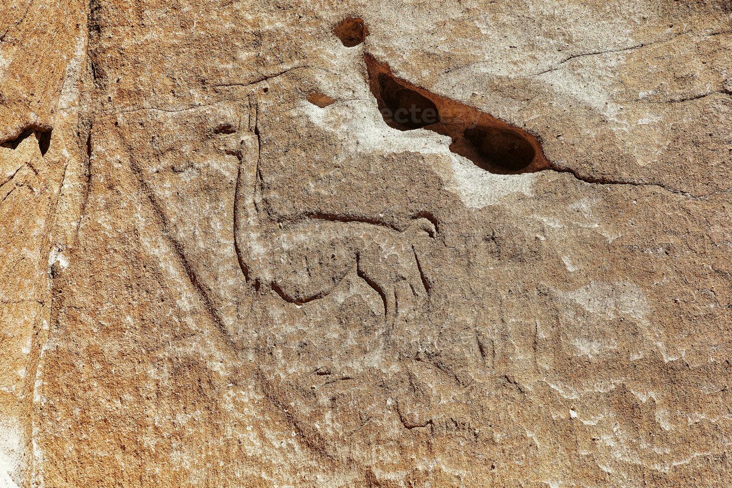 Yerbas Buenas Archaeological Site - Chile. Cave Paintings - Atacama Desert. San Pedro de Atacama. photo